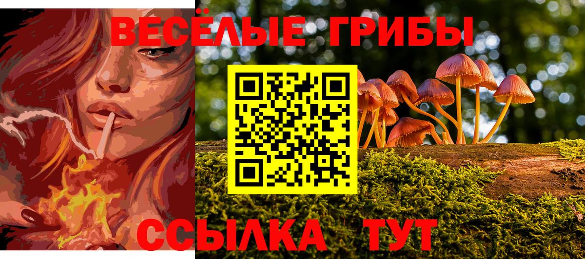 Шахты  Галлюциногенные грибы Magic Shrooms  Вход с VPN 